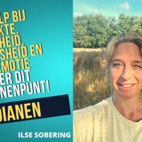 Ilse Sobering - PC6 Pint