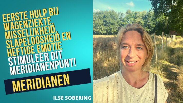 Ilse Sobering - PC6 Pint